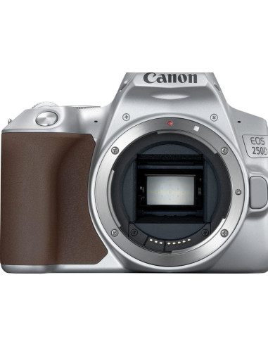 EOS 250D + EF-S 18-55mm f/4-5.6 IS STM Argento